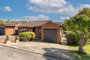 Photo 31- click for photo gallery